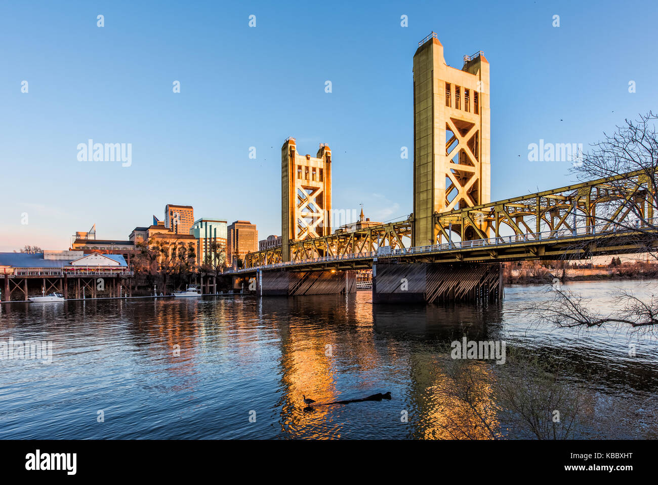 Gold Tower Bridge in Sacramento California during blue sunset with downtown and goose on floating log Stock Photo