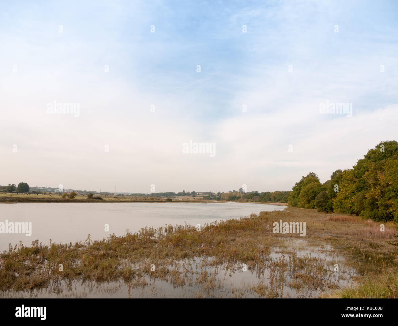 Uk Rivers Coasts river stream scene autumn empty coast outside water sea; Essex; England ...