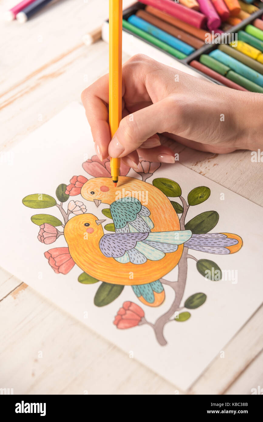 Top view of artist painting beautiful design picture of birds with markers on paper Stock Photo