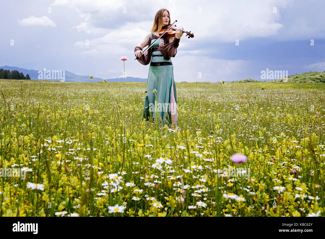 Beautiful female viola player on a wildflower meadow Stock Photo
