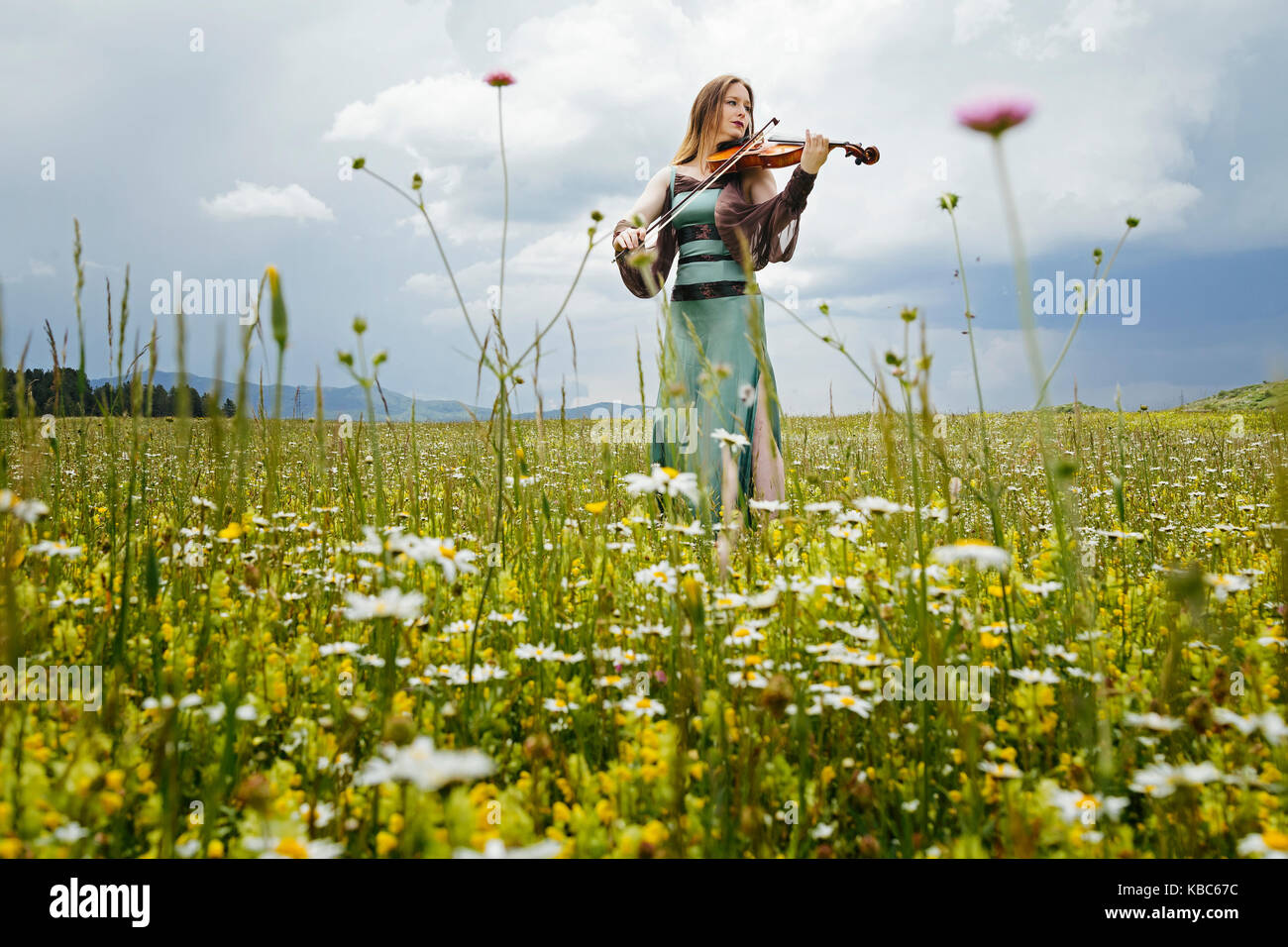 Beautiful female viola player on a wildflower meadow Stock Photo Alamy