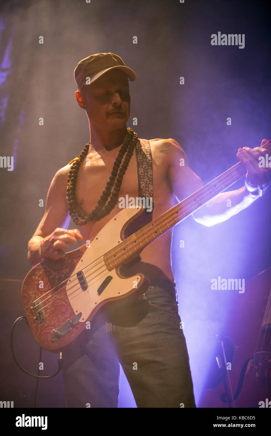 The Norwegian country rock band Midnight Choir performs a live concert at  Rockefeller in Oslo. Here bass player Ron Olsen is seen live on stage.  Norway, 06/03 2016 Stock Photo - Alamy