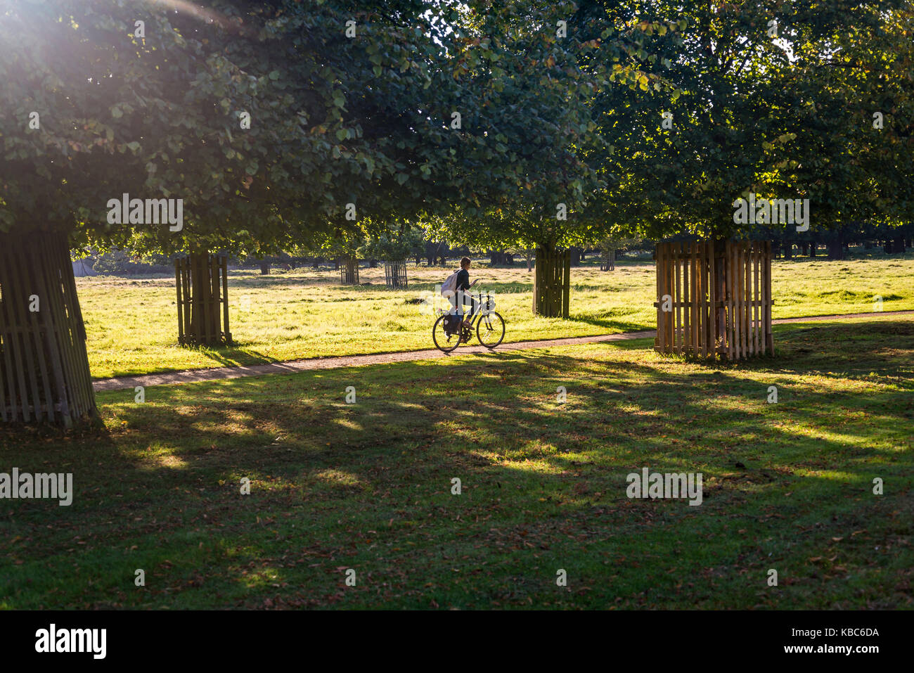 can you cycle in bushy park