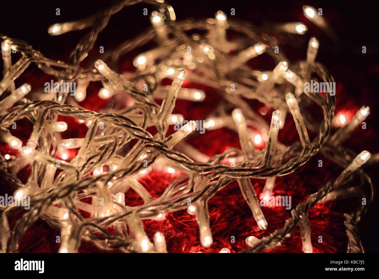 CloseUp Of White Festive Christmas Lights On Red Carpet During Night