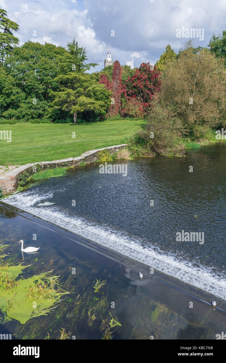 River Stour in Blandford Stock Photo