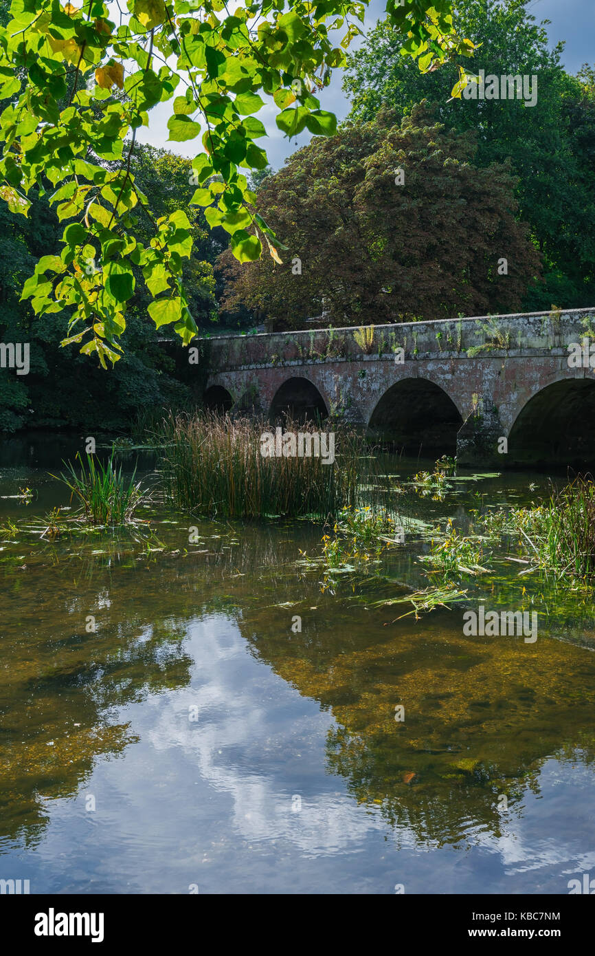 River Stour in Blandford Stock Photo