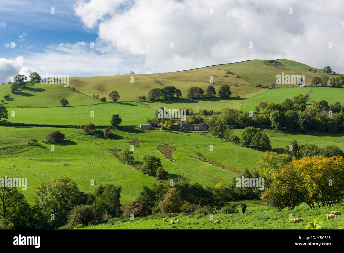 The mountain Gyrn Moelfre and scenic landscape part of the Berwyn Range in the Tanat Valley near to Llansilin in Powys North Wales Stock Photo