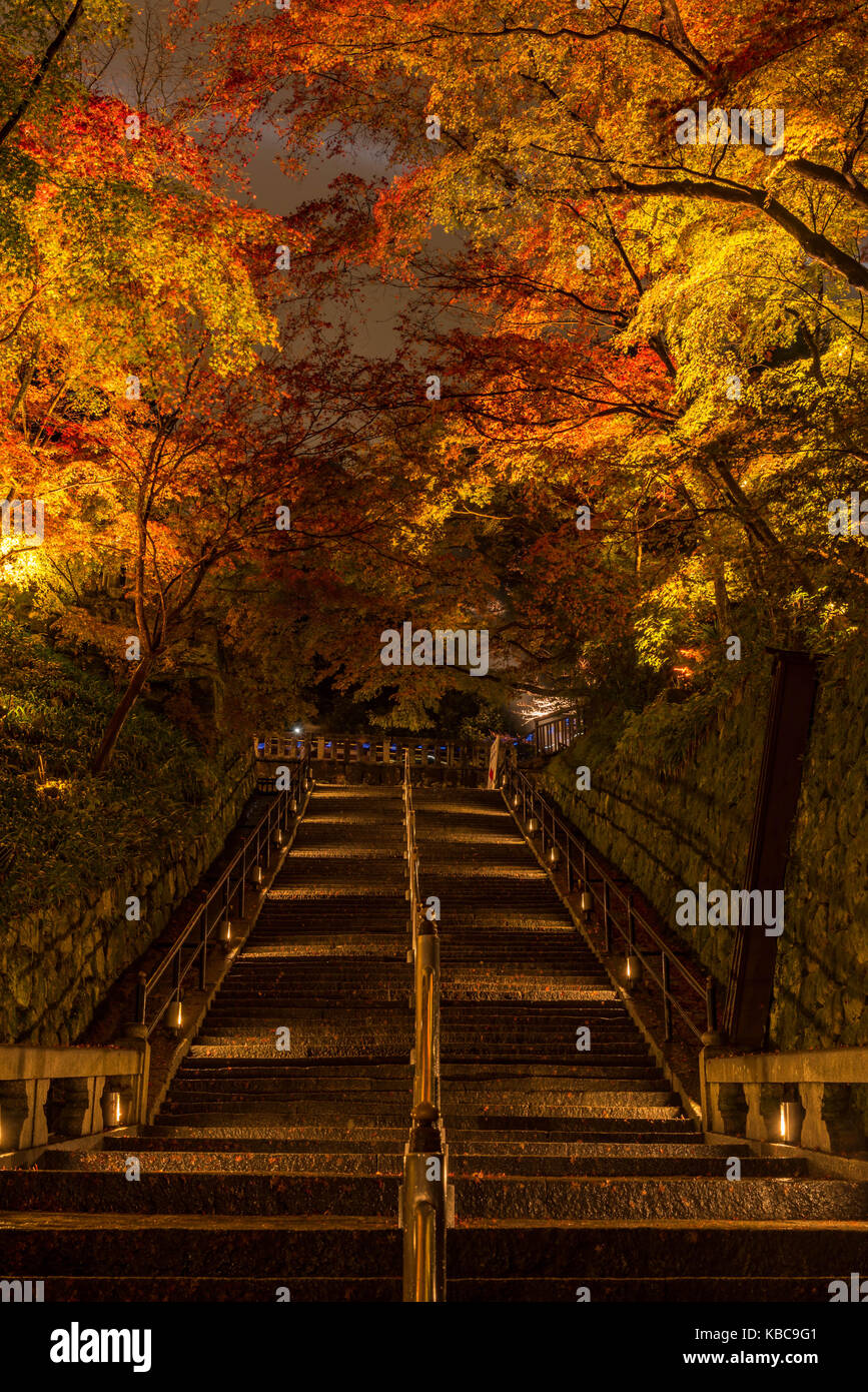 Autumn Stairs at Kiyomizu Dera Illuminated Stock Photo