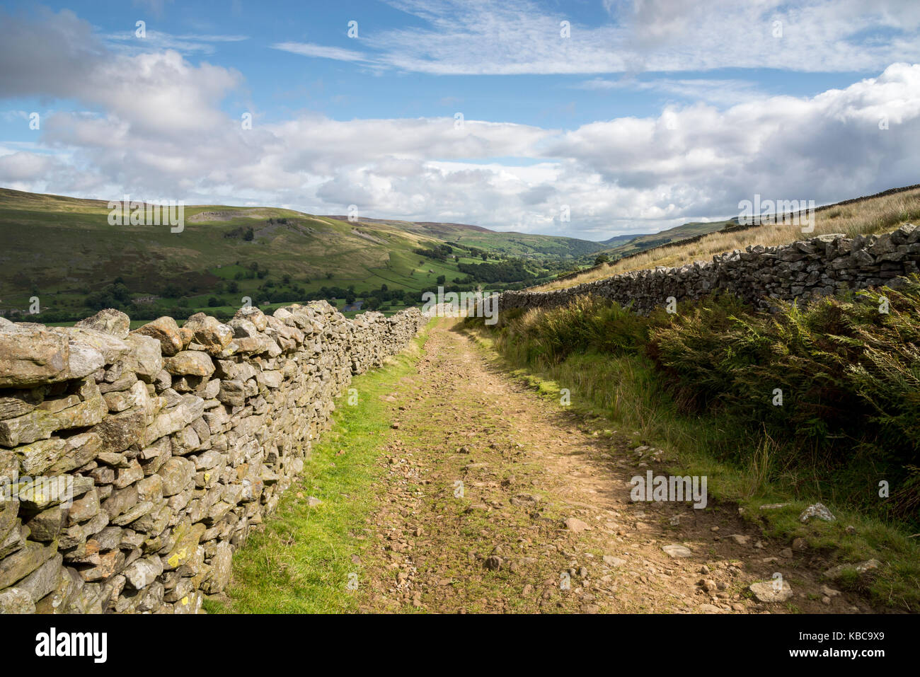 Rough path at Muker side in Upper Swaledale, Yorkshire Dales, England. Stock Photo