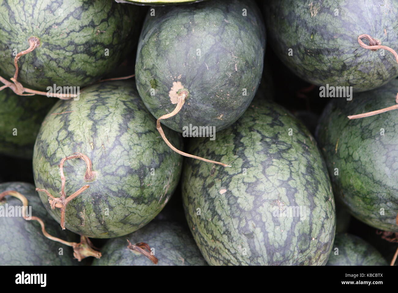 Watermelon on Market Stock Photo