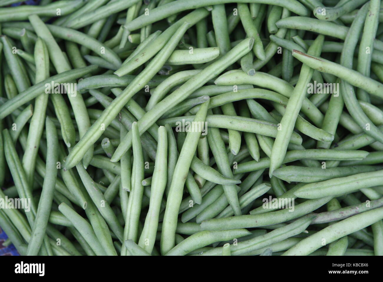 grüne bohnen - green beans on Market Stock Photo