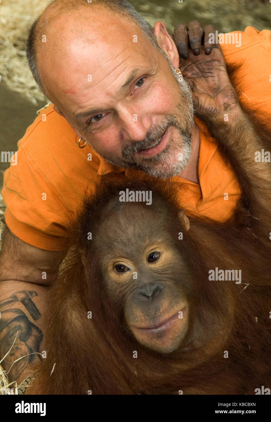 Jeremy Keeling, co founder of Monkey World in Dorset, with a young  Orang Utang, Stock Photo