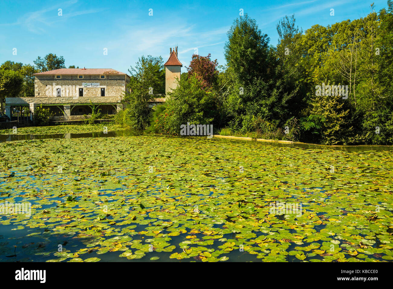 Lily pads on Le Dropt River at this popular south western historic bastide town, Eymet, Bergerac, Dordogne, France, Europe Stock Photo