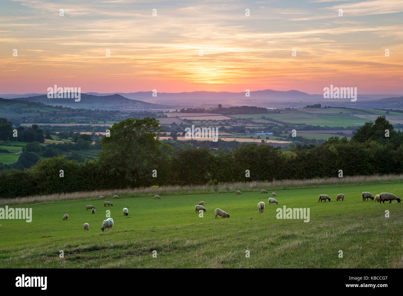 Cotswold landscape and distant Malvern Hills at sunset, Farmcote, Cotswolds, Gloucestershire