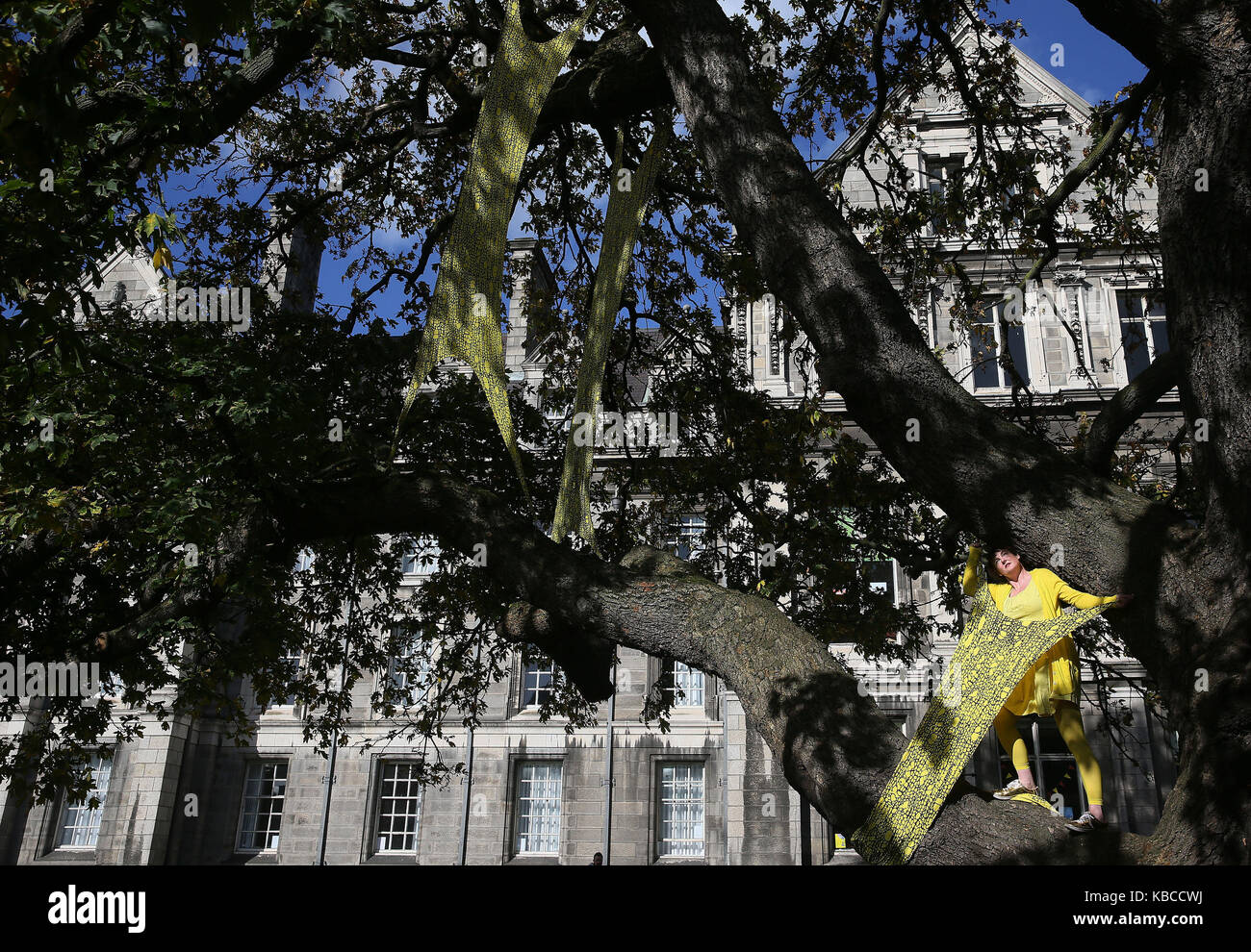 Performance artist Olivia Hassett with one of her art installations forming the Trinity College Trees Project and exhibition of eight artworks installed in eight trees spread throughout the campus of Trinity College Dublin. Stock Photo