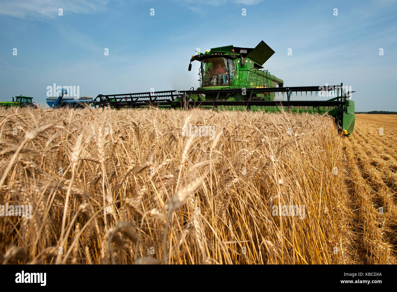 Dakota combines wheat hires stock photography and images Alamy