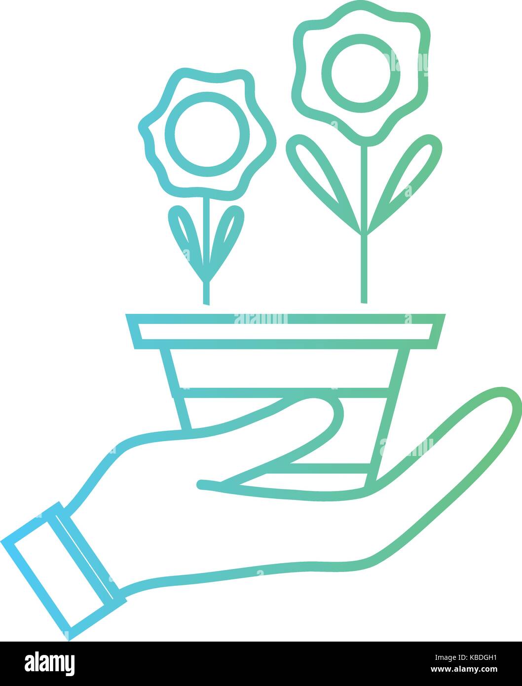 line flowers with petals and leaves inside plantpot in the hand Stock