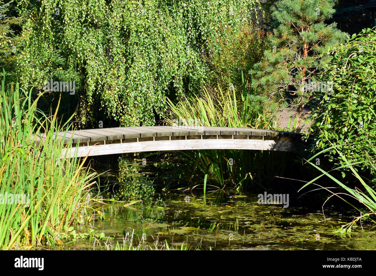 Beautiful small wooden bridge over water. Stock Photo
