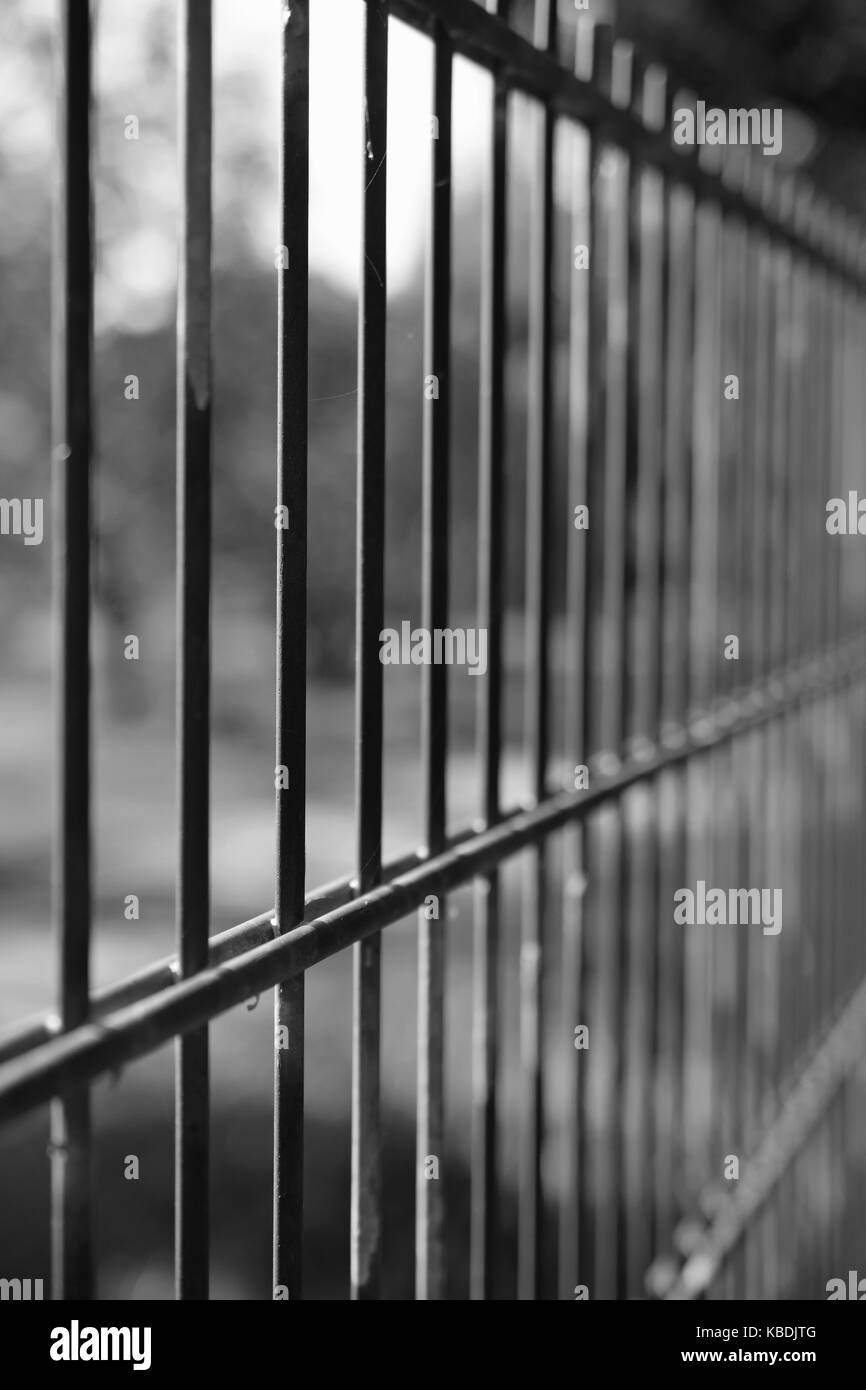 Close up of metal fence. Black and white image. Stock Photo