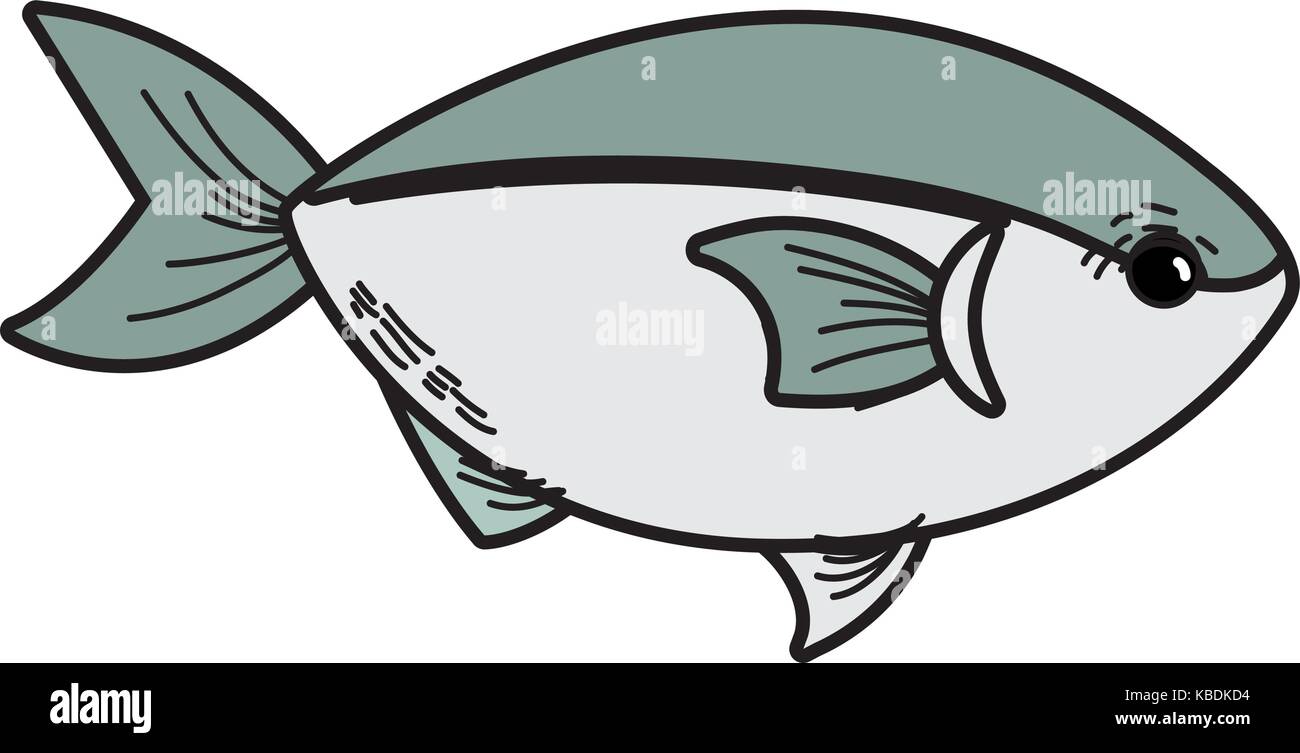delicious seafood fish with natural nutrition Stock Vector Image & Art ...
