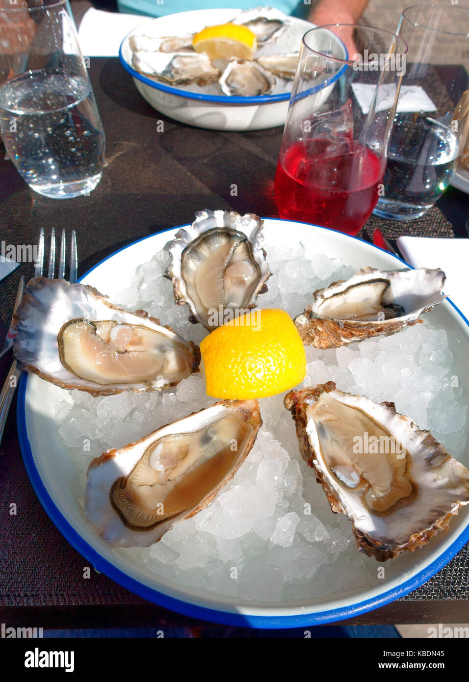 Plate of Oysters on ice in a restaurant in Brussels, Belgium Stock Photo