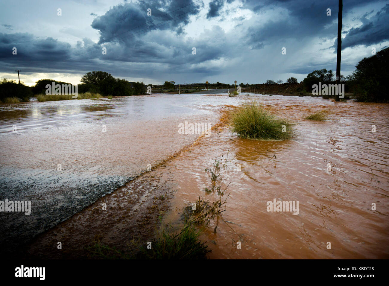Flash flood after summer storm, Mount Magnet, Mid West Region, Western Australia, Australia Stock Photo