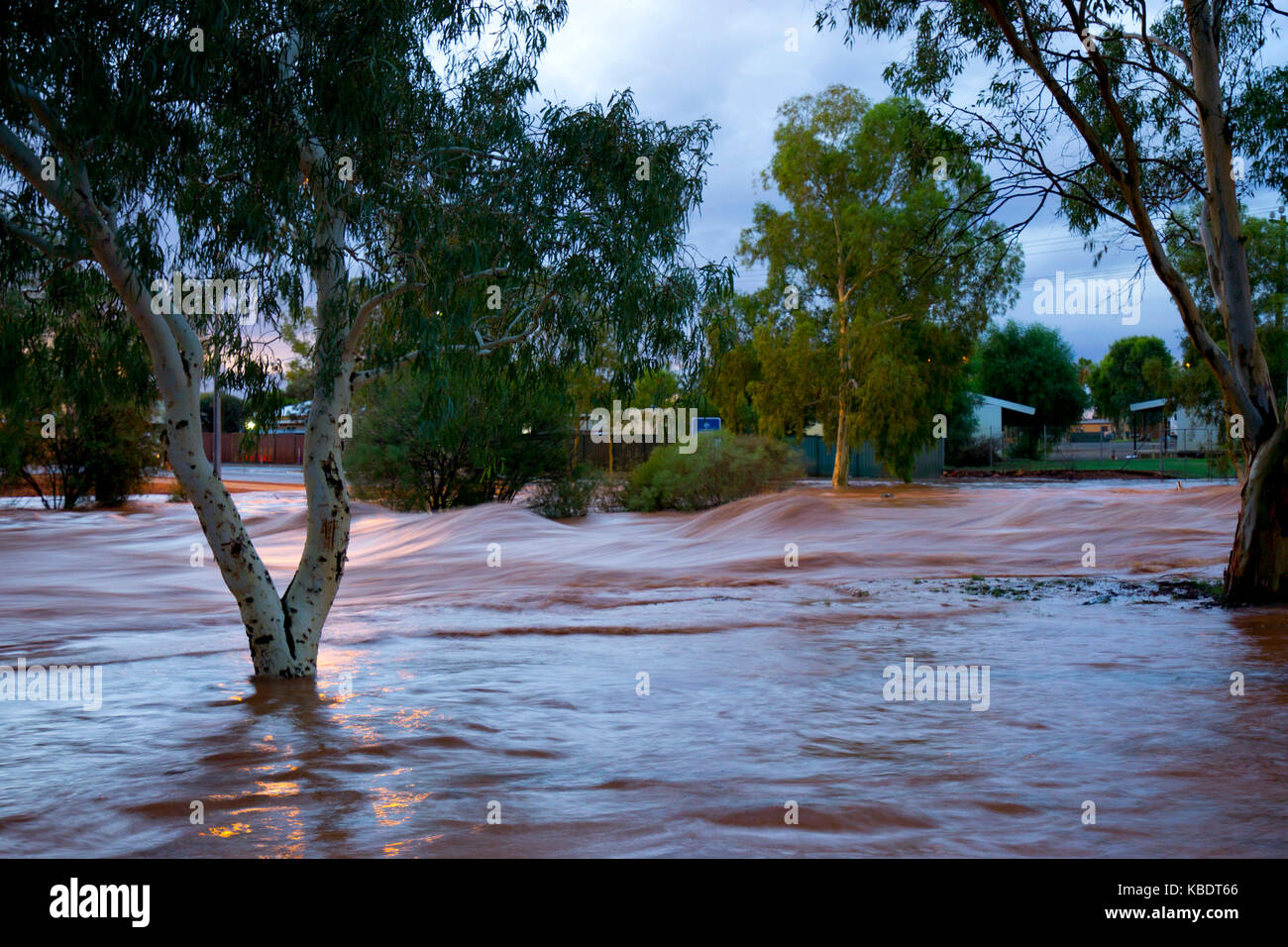 Flash flood after summer storm, Mount Magnet, Mid West Region, Western  Australia, Australia Stock Photo - Alamy