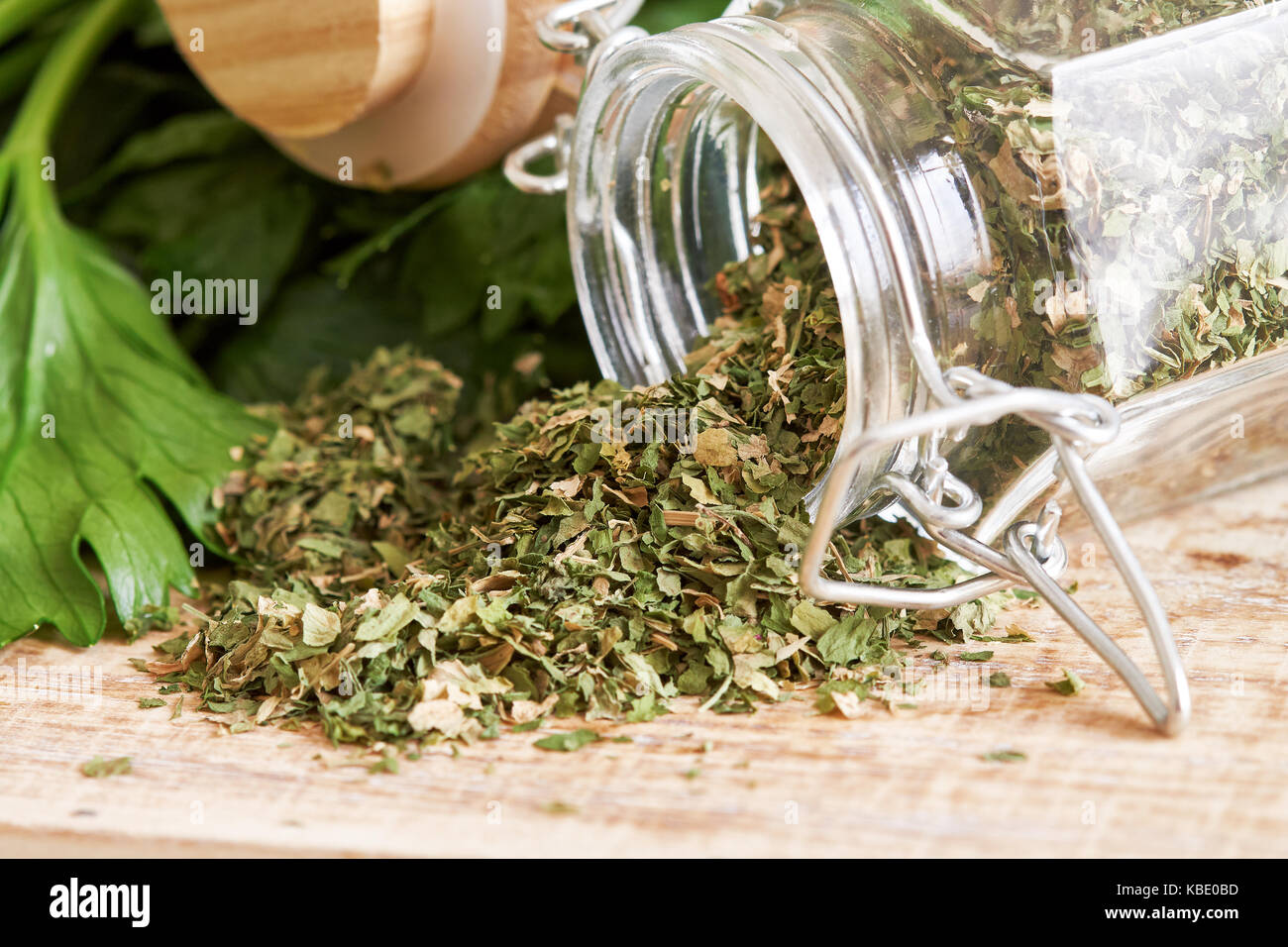 Dried celery leaves with fresh raw celery in background Stock Photo Alamy