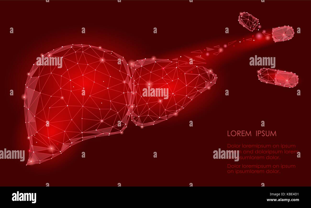 Treatment regeneration decay drug. Human Liver Internal Organ Triangle Low Poly. Connected dots white gray color technology 3d model medicine healthy  Stock Vector