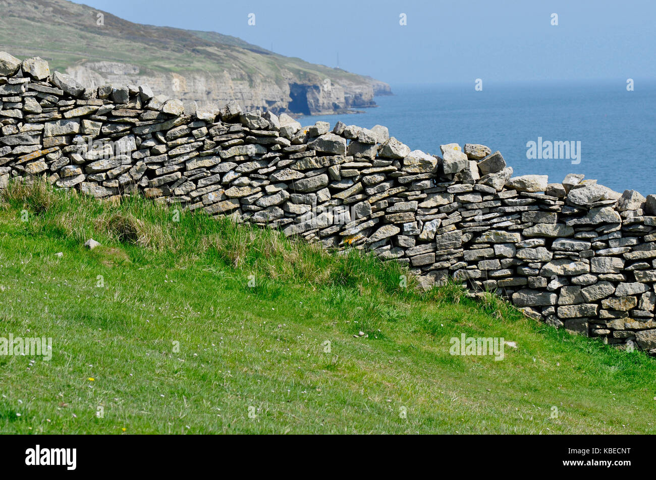 Dry stone wall, in sloping field,on Purbeck,Dorset, UK Stock Photo