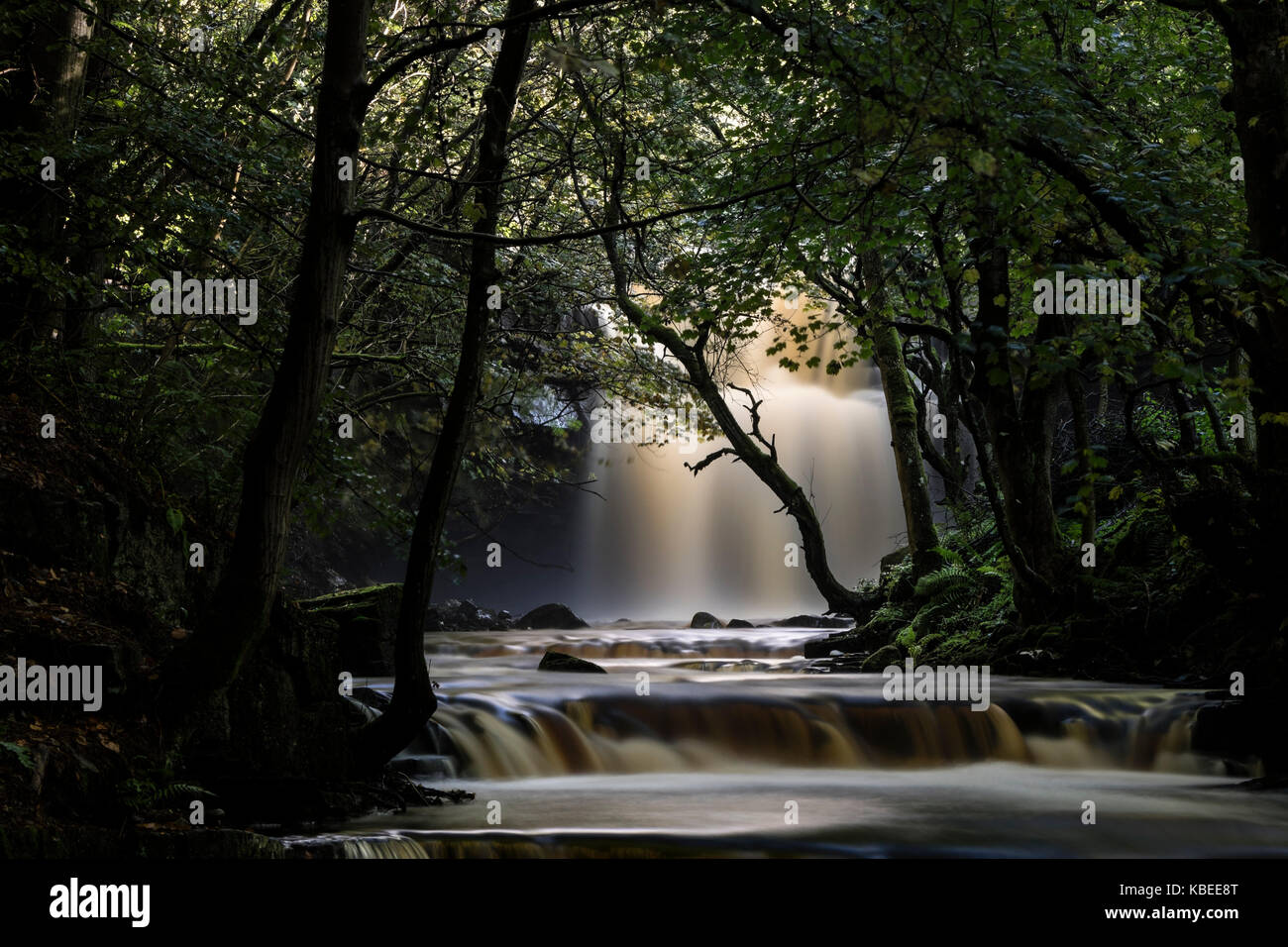 A Mystical Summerhill Force and Bowlee Beck, Bowlees, Upper, Teesdale, County Durham, UK Stock Photo