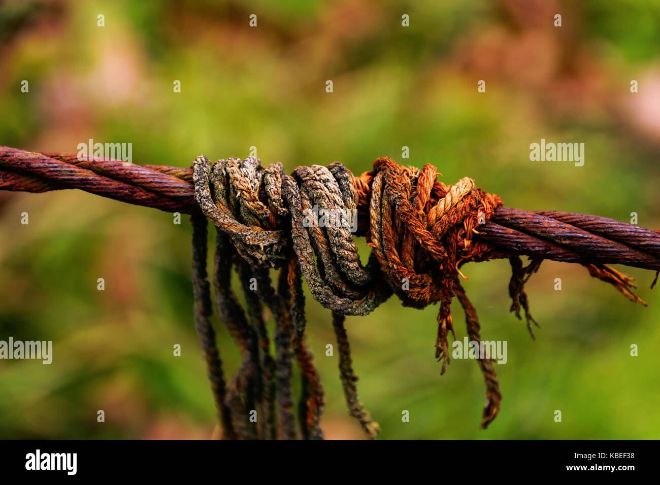 Close-Up Of Rope Wrapped Around Rusty Cable During Autumn Stock Photo
