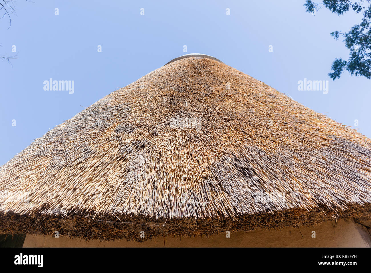 African style thatch grass roofs round bungalow buildings holiday camps