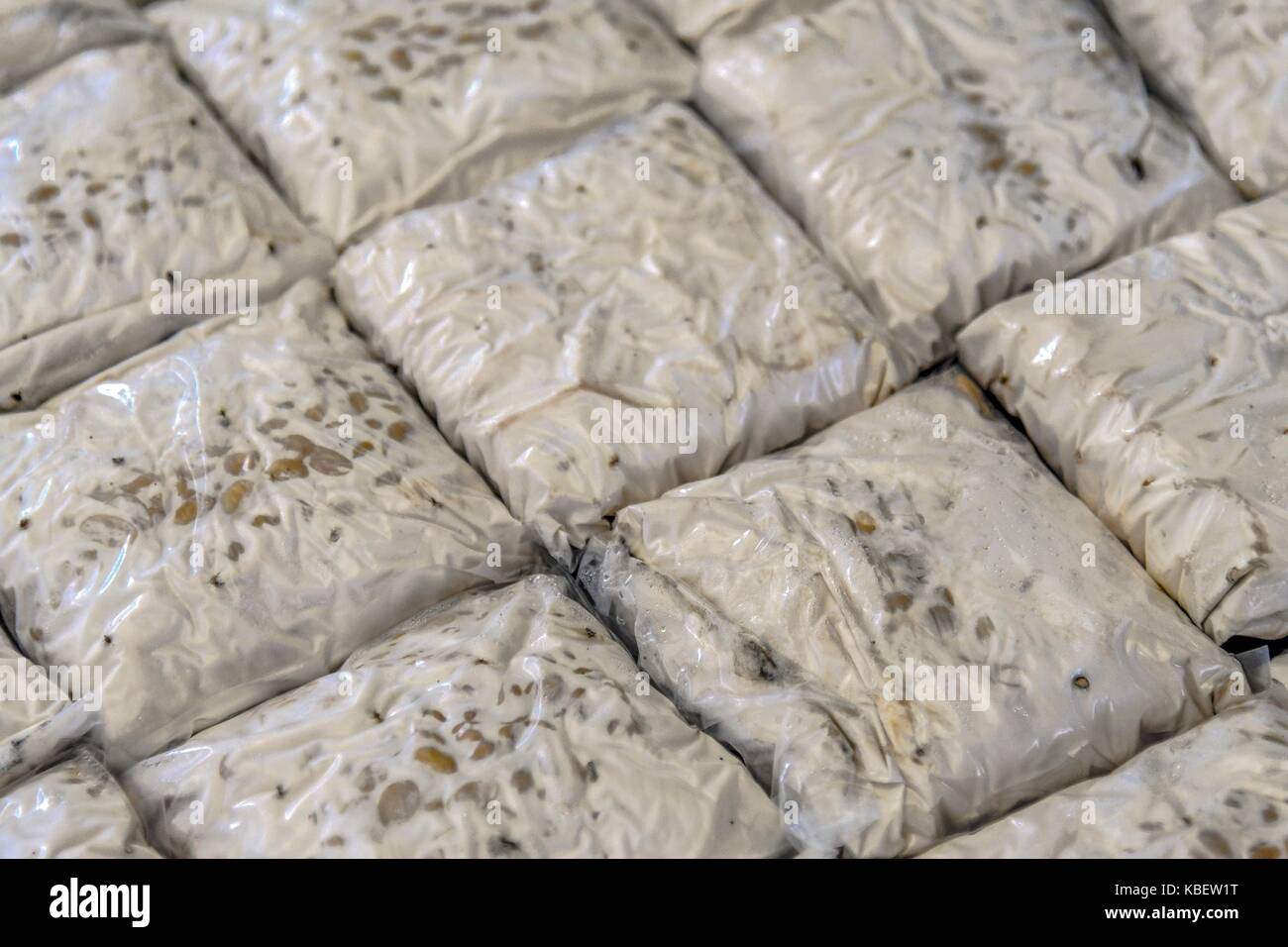 Tempeh for sale hires stock photography and images Alamy