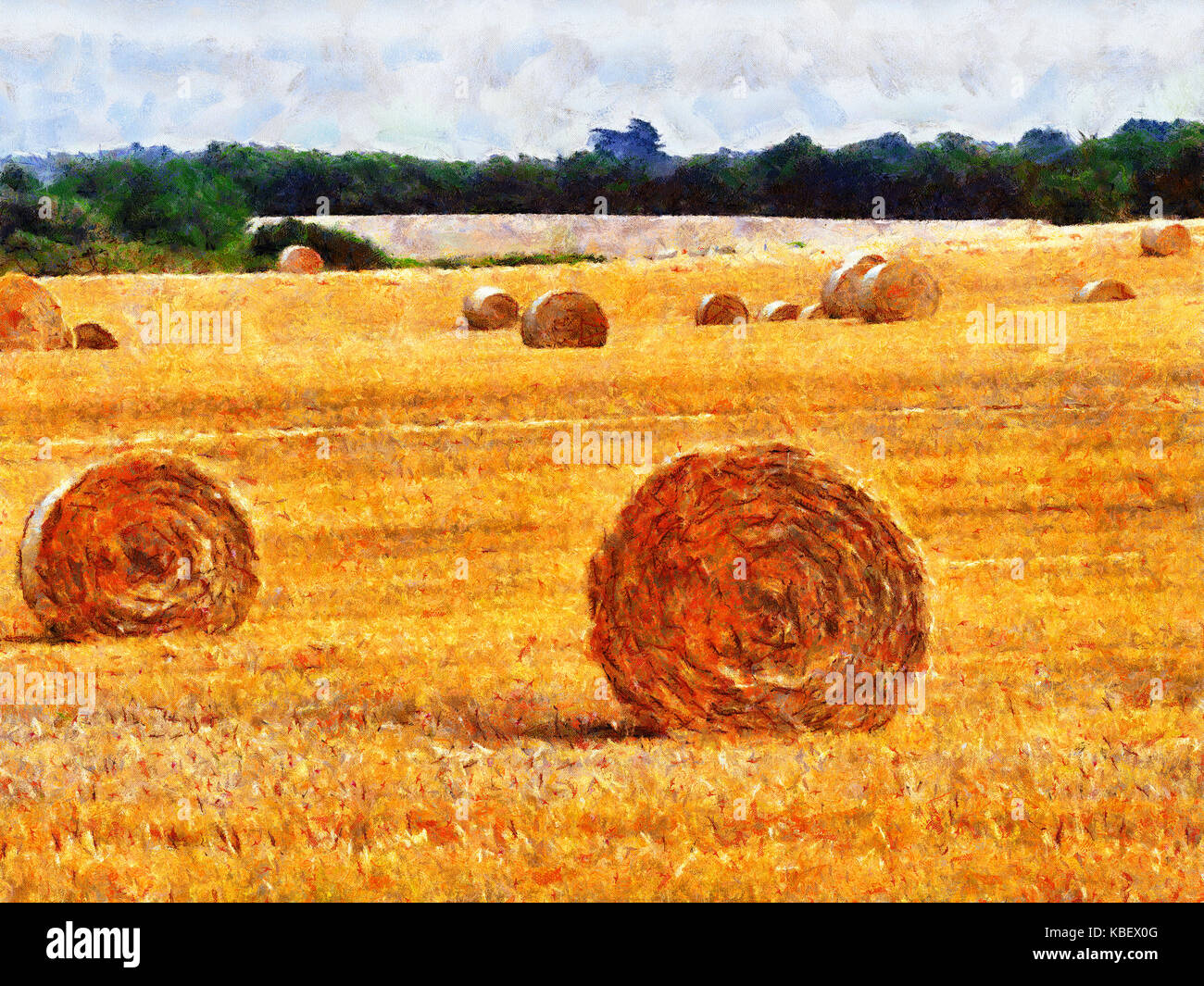 Hay bales County Wexford, Ireland Stock Photo