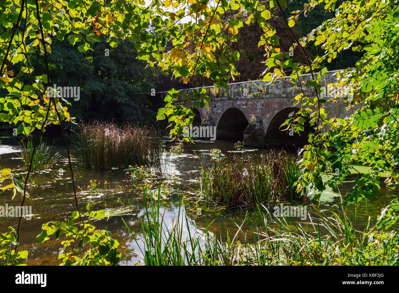 River Stour in Blandford Stock Photo