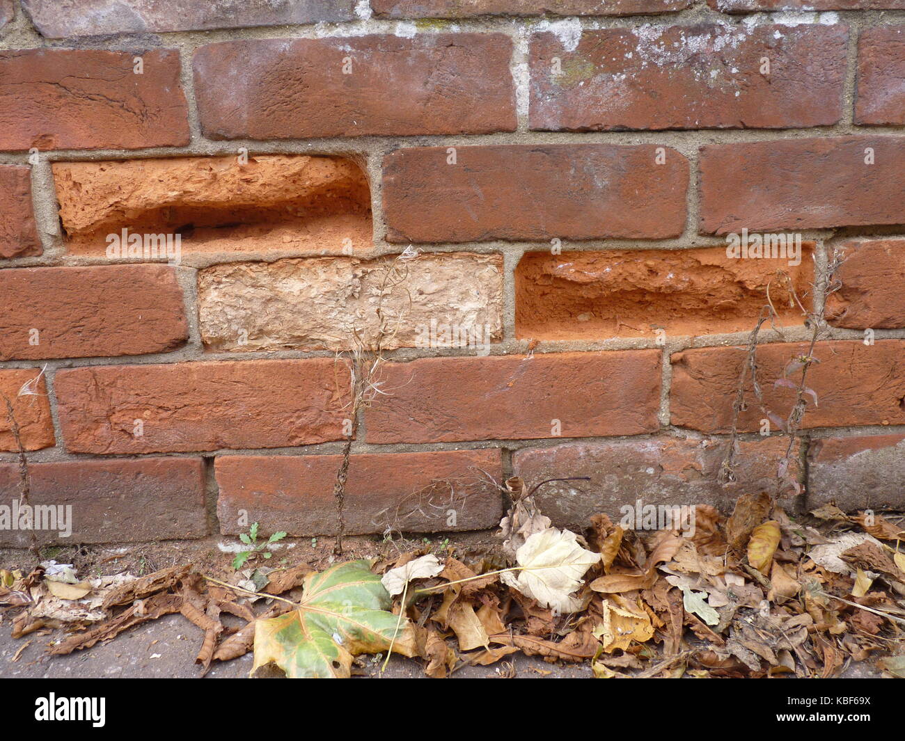 Environmental damage to Brick Walling. Stock Photo