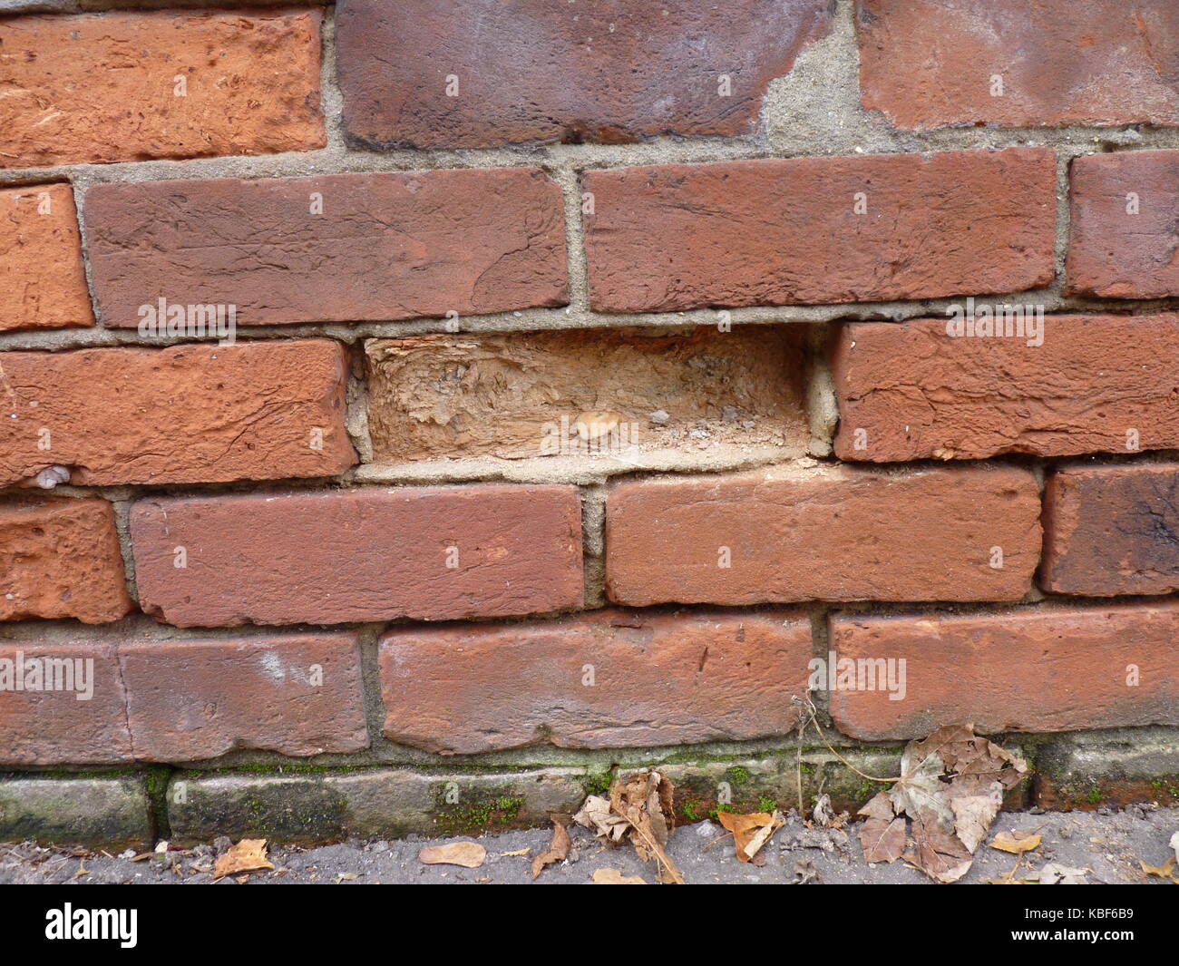 Environmental damage to Brick Walling. Stock Photo