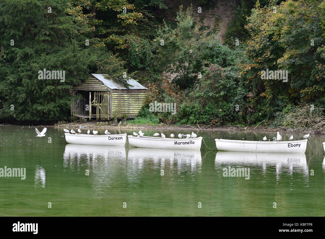 Arundel, West Sussex, England, UK. 29th Sep, 2017. UK Weather. Boats on Swanbourne Lake in Arundel this afternoon, as the earlier rain has stopped for now, but the sky is still covered in cloud. Credit: Geoff Smith/Alamy Live News Stock Photo