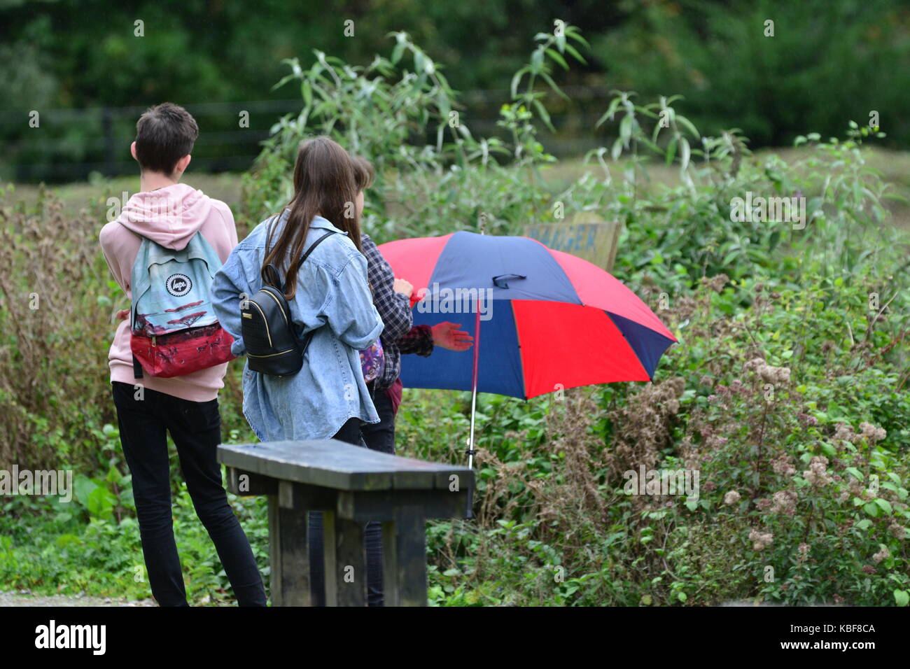 Group of students on a day out in the rain. Stock Photo