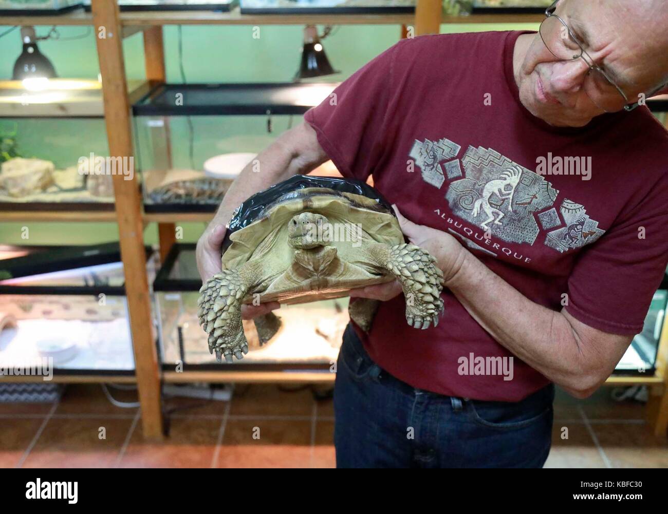 Florida, USA. 29th Sep, 2017. Lenard Hughes holds George -- a four year old sulcata tortoise -- at his house in Loxahatchee Friday, September 29, 2017. George was run over by a car. ''He is rehabbing well, '' said Hughes. ''I like taking care of him. Credit: Bruce R. Bennett/The Palm Beach Post/ZUMA Wire/Alamy Live News Stock Photo