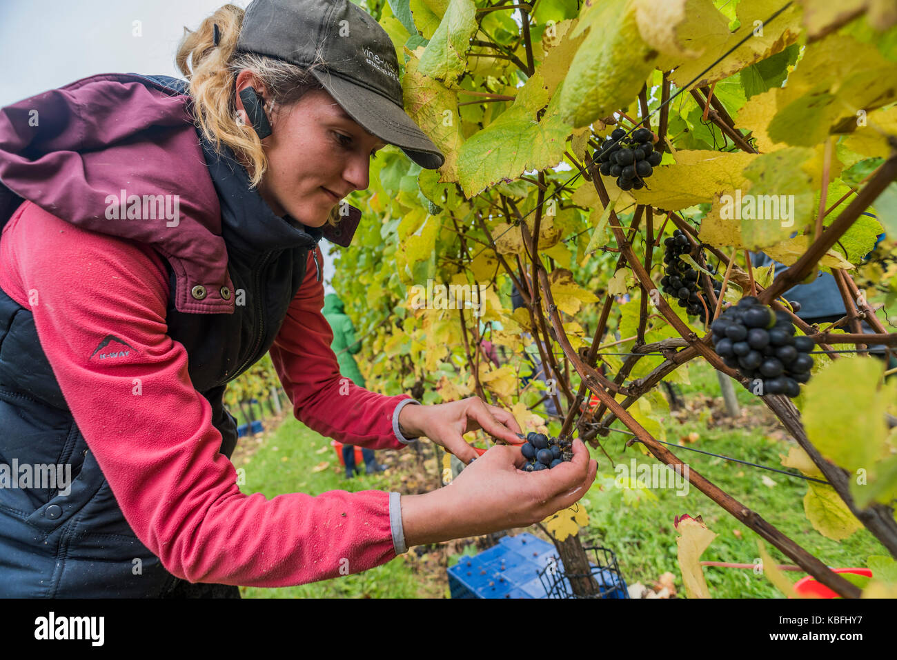 Pulborough sussex hires stock photography and images Alamy