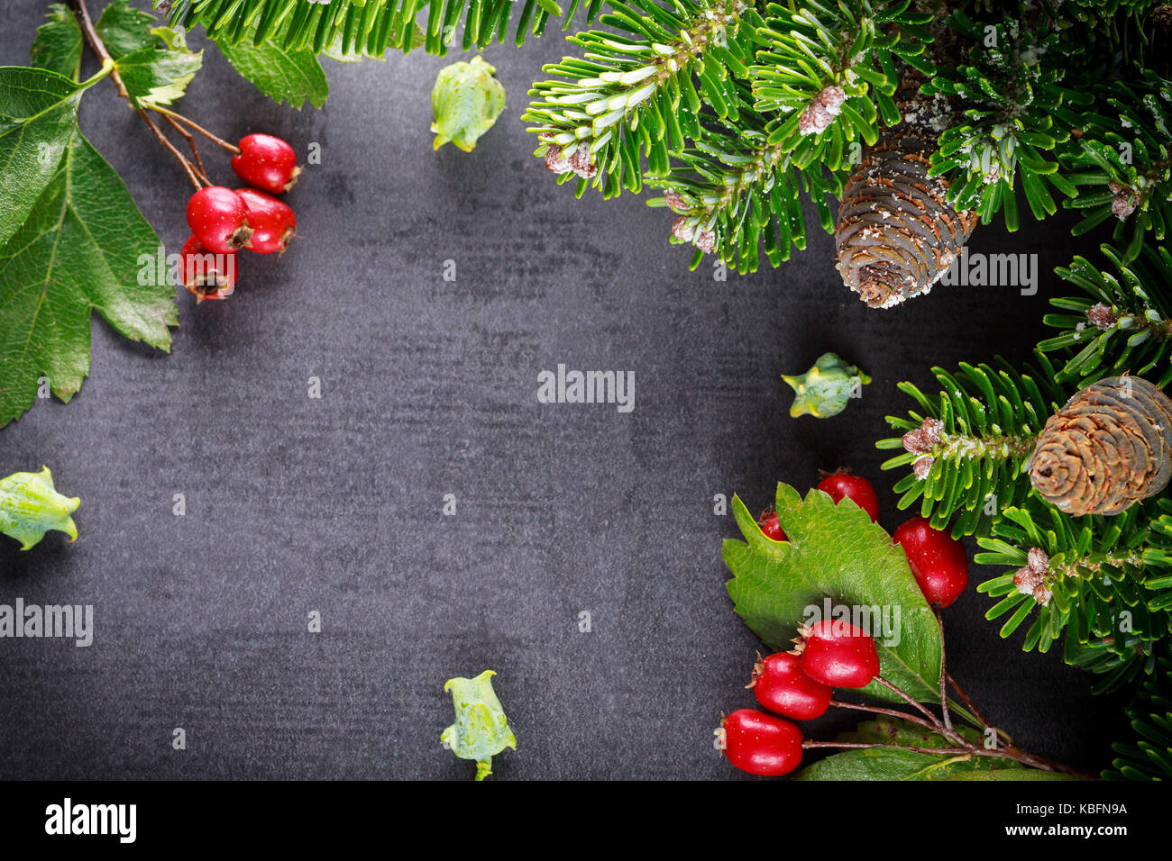 Red berries Christmas decor border Stock Photo by Anna_Om