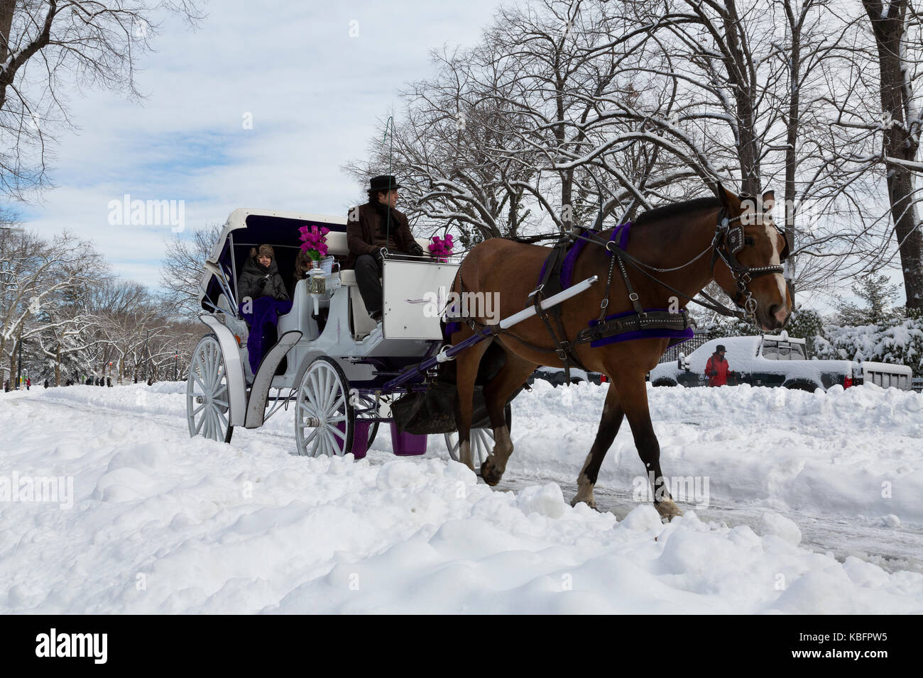 Horse and carriage central park hi-res stock photography and images - Alamy