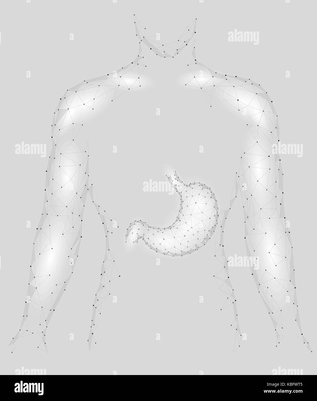 Human healthy stomach inside man sikhouette. Internal digestion organ. Low poly connected dots gray white triangle future technology design background vector medicine illustration Stock Vector