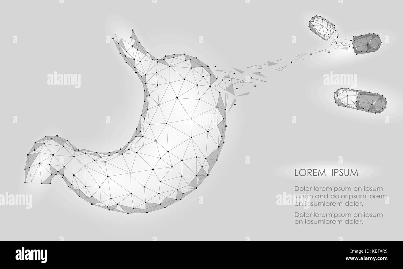 Human healthy medicine drug treatment stomach. Internal digestion organ. Low poly connected dots gray white triangle future technology design background vector medicine illustration Stock Vector