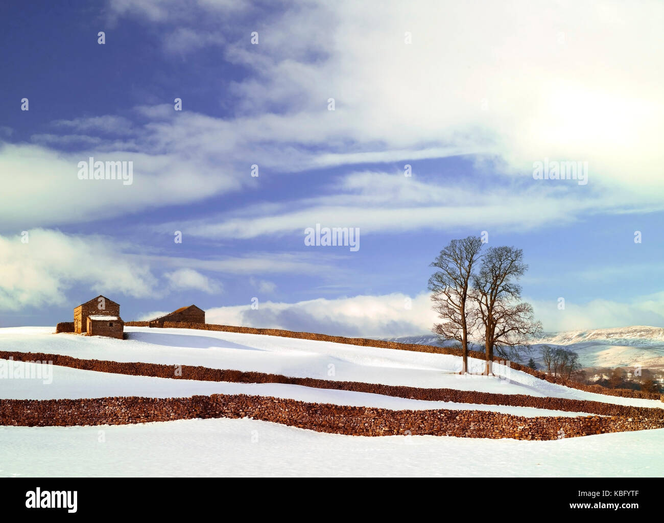 A winter view of the Wensleydale countryside, in the Yorkshire Dales, after  a heavy fall of snow Stock Photo