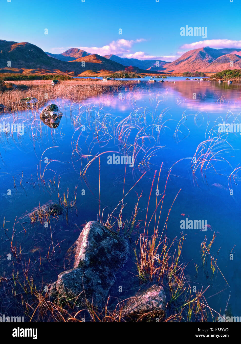 A sunny winter view of Loch na h-Achlaise on Rannoch Moor, near Glen Coe in the Scottish Highlands Stock Photo