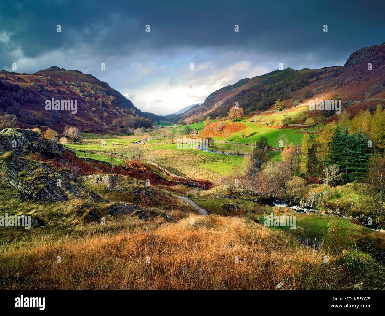 A colourful autumn view of Grange Fell in the Lake District, England, UK Stock Photo