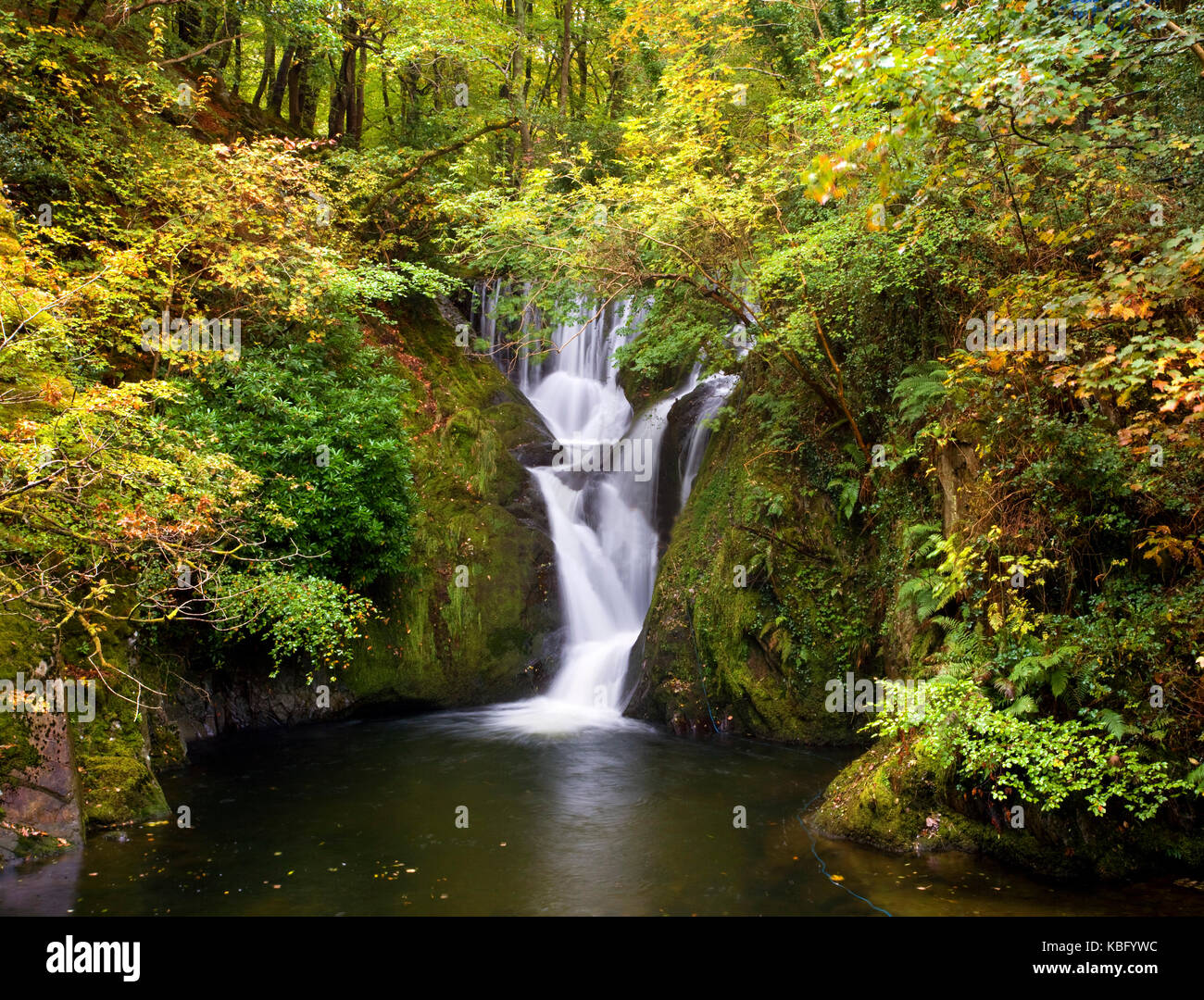 A colourful autumn view of Furnace Falls in Powys, Wales, UK Stock Photo